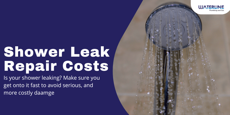 shower leak repair costs perth cover image
