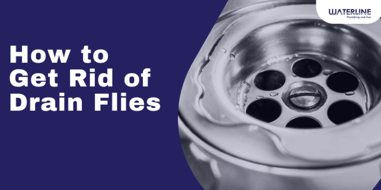 How To Get Rid Of Drain Flies A Guide Waterline Plumbing